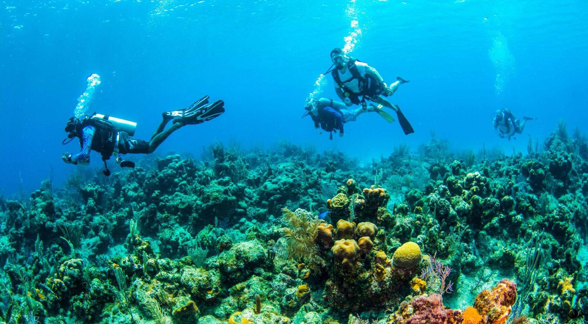 Blue Roatan Resort เวสต์ เบย์ ภายนอก รูปภาพ